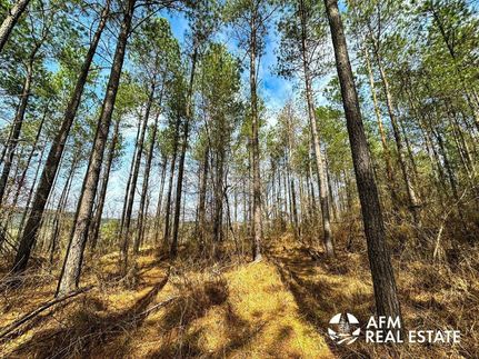 Land in Le Flore County, Oklahoma