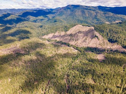 Undeveloped Land in Douglas County, Oregon