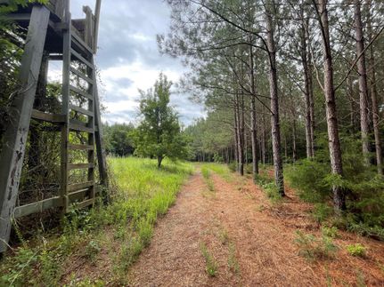 Land in York County, South Carolina