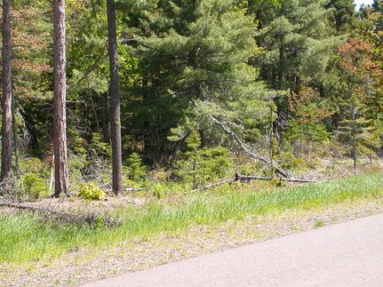 Land in Keweenaw County, Michigan