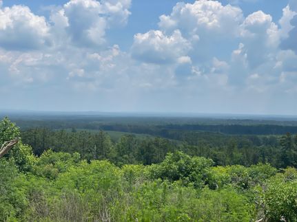 Timberland Property in Cherokee County, Texas