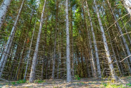 Hunting Property in Washington County, Oregon