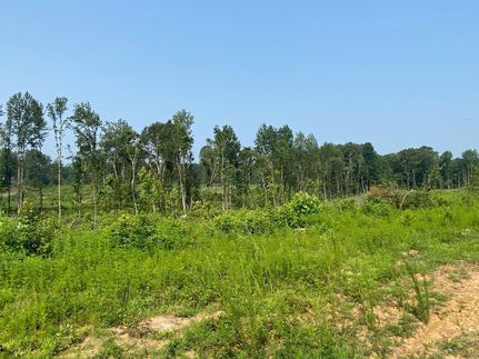 Undeveloped Land in Montgomery County, North Carolina