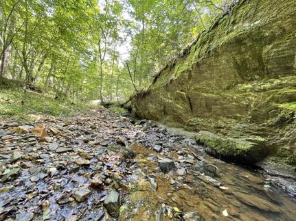 Land in York County, South Carolina