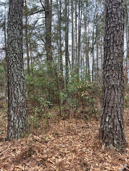 Land in Marlboro County, South Carolina