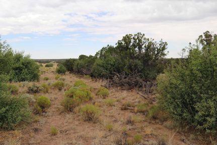 Farm and Ranch in Apache County, Arizona
