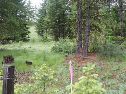 Land in Okanogan County, Washington