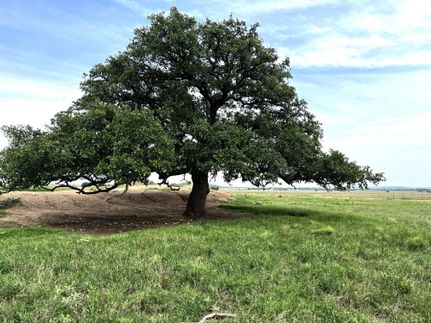 Undeveloped Land in San Saba County, Texas