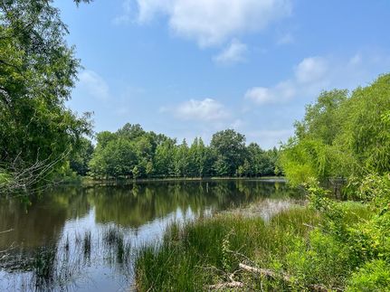 Timberland Property in Bowie County, Texas