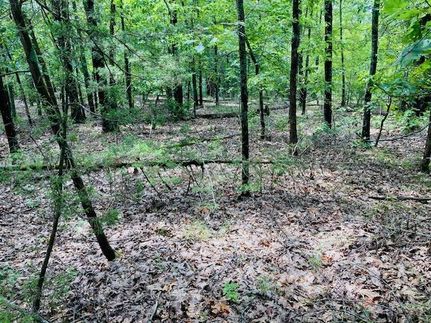 Land in Baxter County, Arkansas