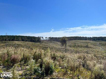 Land in Neshoba County, Mississippi