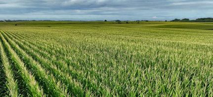 Land in Pocahontas County, Iowa