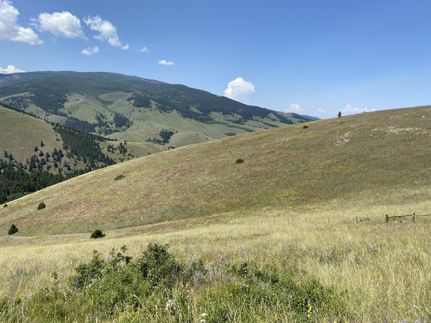 Timberland Property in Broadwater County, Montana
