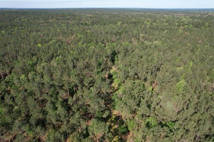 Land in Houston County, Texas