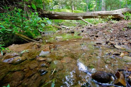 Undeveloped Land in Madison County, Arkansas