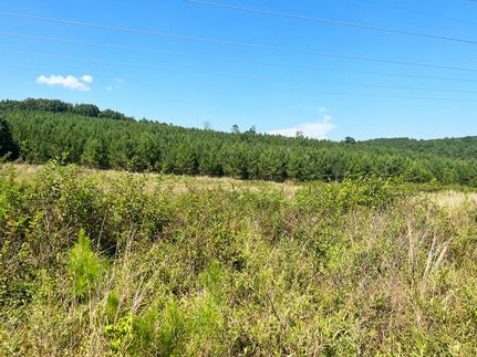 Land for sale in Floyd County, Georgia