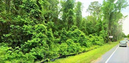 Undeveloped Land in Putnam County, Florida