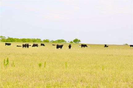 Land in Archer County, Texas