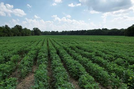 Farm and Ranch in Tallahatchie County, Mississippi