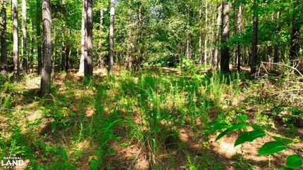 Recreational Property in Harnett County, North Carolina