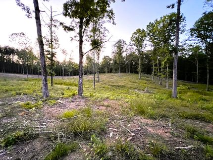 Farm and Ranch in Shelby County, Alabama
