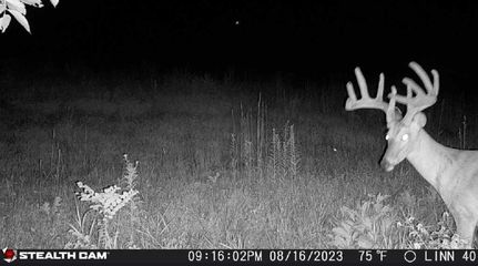 Land in Linn County, Missouri
