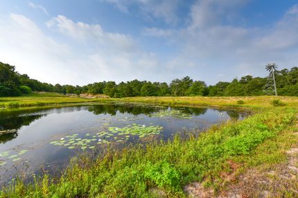 Farm and Ranch in Burleson County, Texas