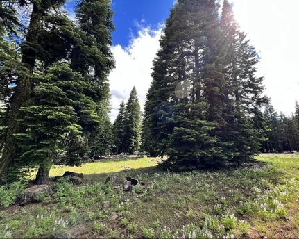 Undeveloped Land in Modoc County, California