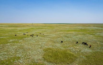 Farm and Ranch in Goshen County, Wyoming