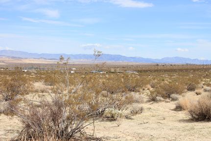 Timberland Property in San Bernardino County, California