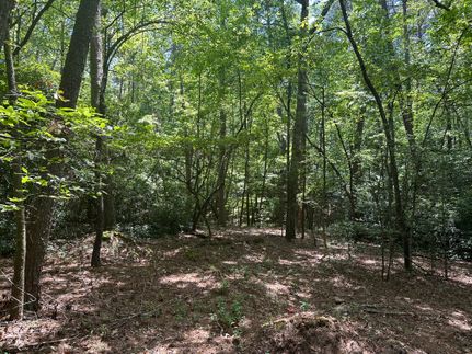 Undeveloped Land in Lumpkin County, Georgia