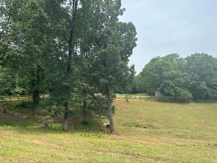 Timberland Property in Lumpkin County, Georgia