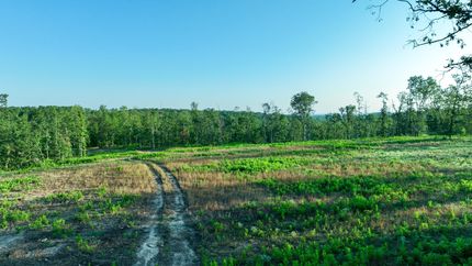 Timberland Property in Texas County, Missouri
