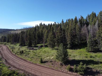 Timberland Property in Costilla County, Colorado