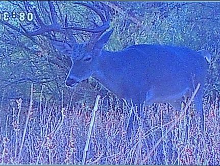Undeveloped Land in Val Verde County, Texas