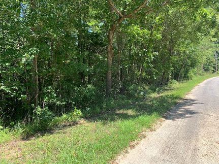 Undeveloped Land in Benton County, Tennessee