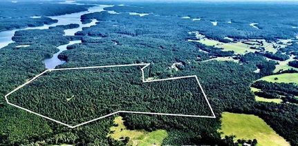 Undeveloped Land in Elbert County, Georgia