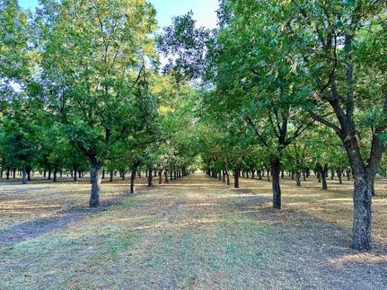 Farm and Ranch in Comanche County, Texas