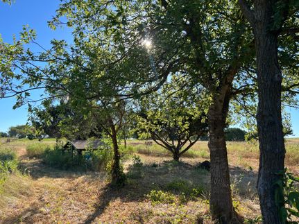 Farm and Ranch in Johnson County, Texas