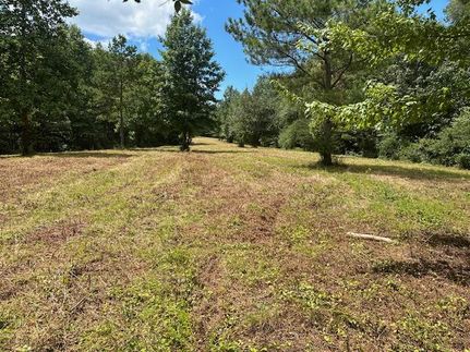 Timberland Property in Blount County, Alabama
