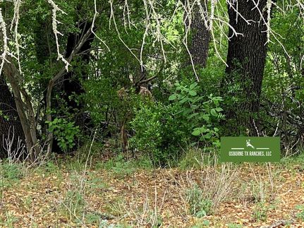 Land in Edwards County, Texas