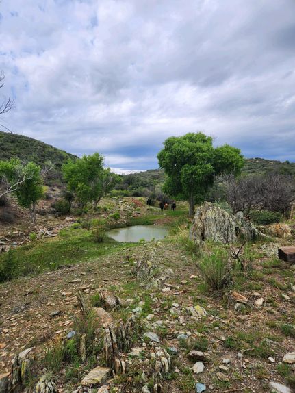 Farm and Ranch in Yavapai County, Arizona