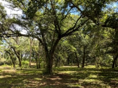 Recreational Property in Suwannee County, Florida