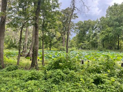 Land in Warren County, Mississippi