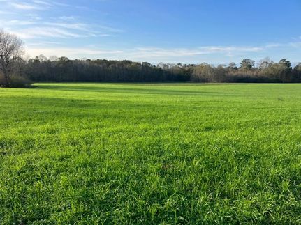 Timberland Property in Walthall County, Mississippi