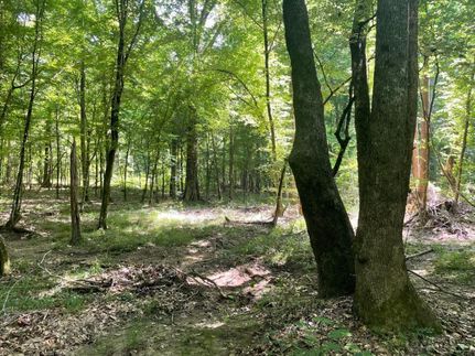 Timberland Property in Madison County, Mississippi
