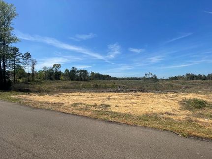 Timberland Property in Simpson County, Mississippi