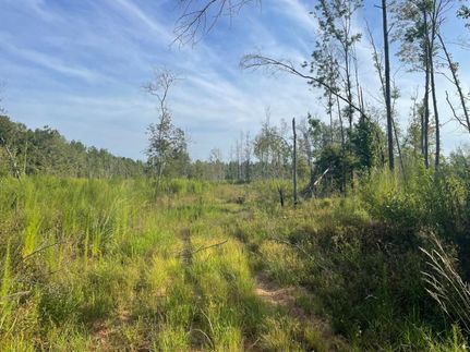 Commercial Property in Tangipahoa Parish, Louisiana