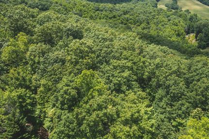Undeveloped Land in Patrick County, Virginia