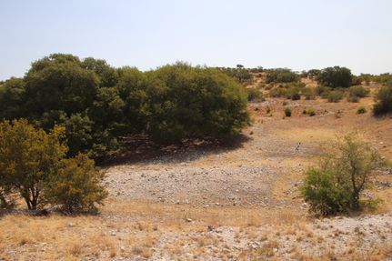 Farm and Ranch in Edwards County, Texas
